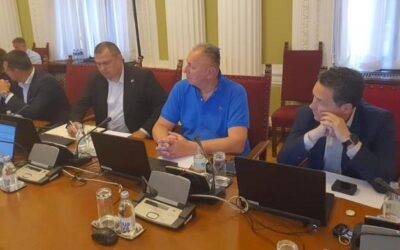 Скупштински одбор за људска права, Гргур: Заштитите Желимира Црнобрњу од насилника